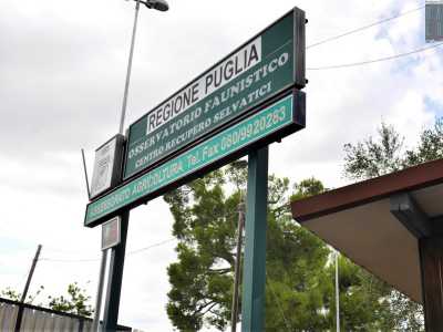 Raggiungere il centro faunistico non � per niente facile: non esistono infatti cartelli che ne indichino la presenza, almeno fino a ridosso della stessa struttura, che si trova in via Generale Palmiotti Michele, una strada secondaria che collega Bitetto a Sannicandro